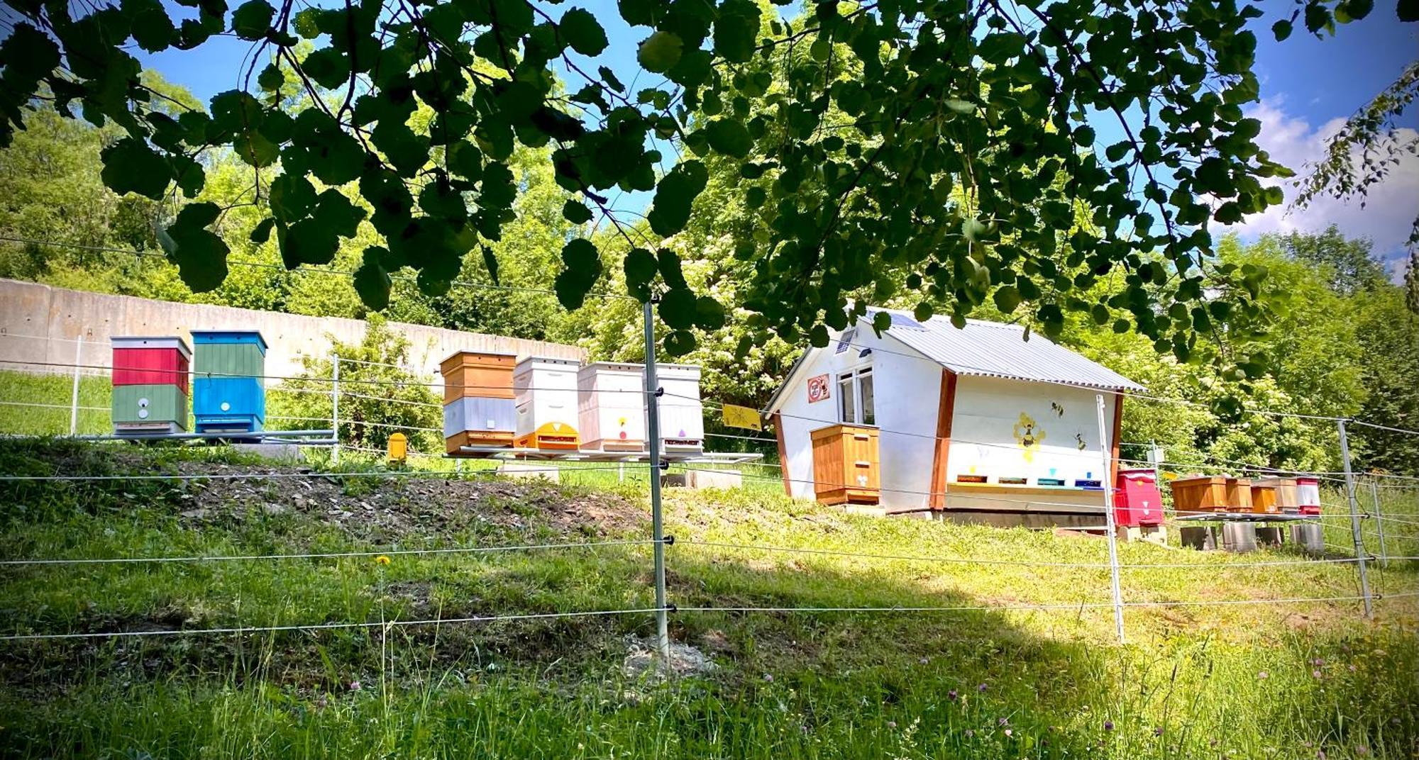 Apartmany Svrcinky Liptovský Mikuláš Екстериор снимка