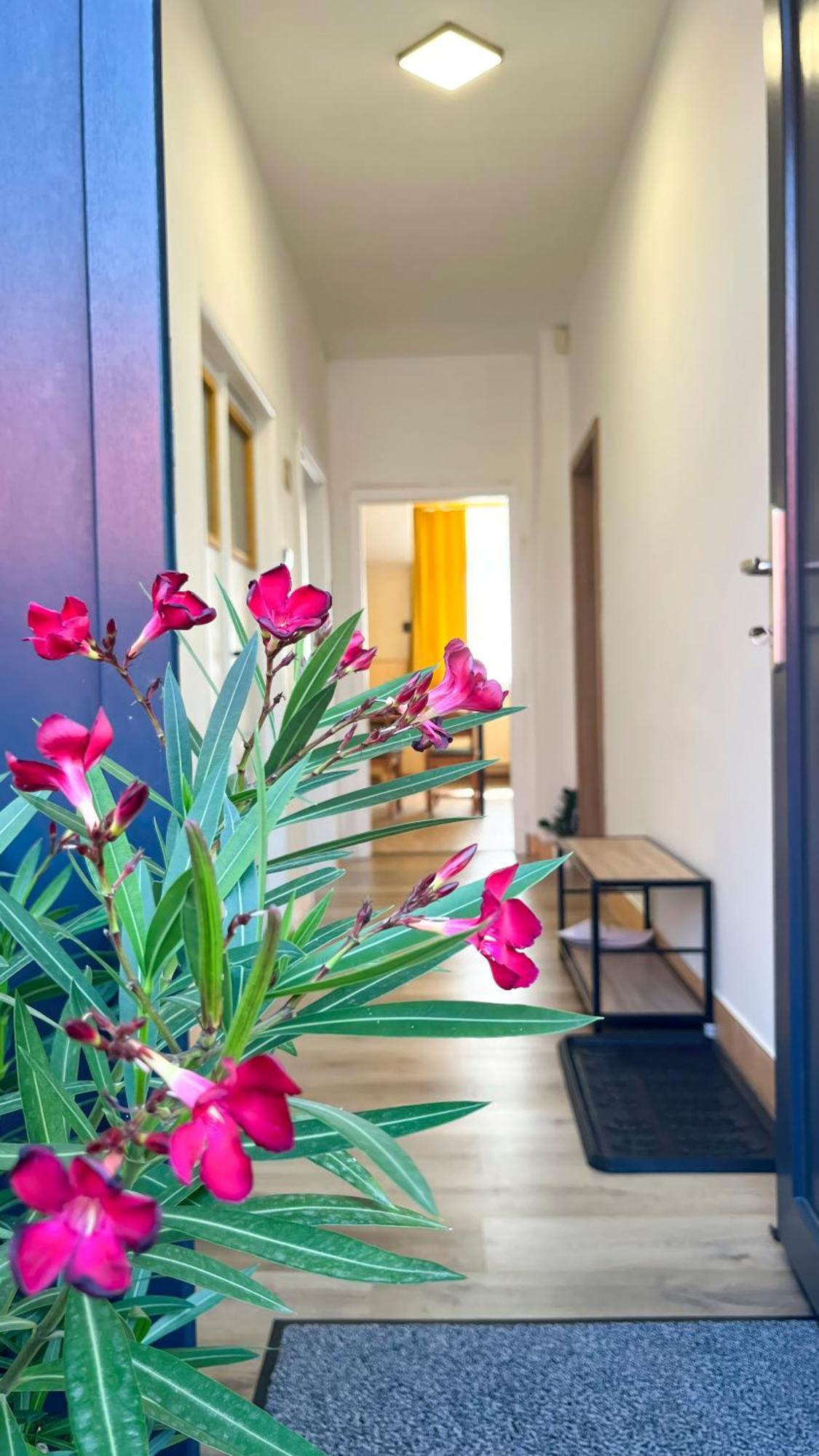 Apartmany Svrcinky Liptovský Mikuláš Екстериор снимка